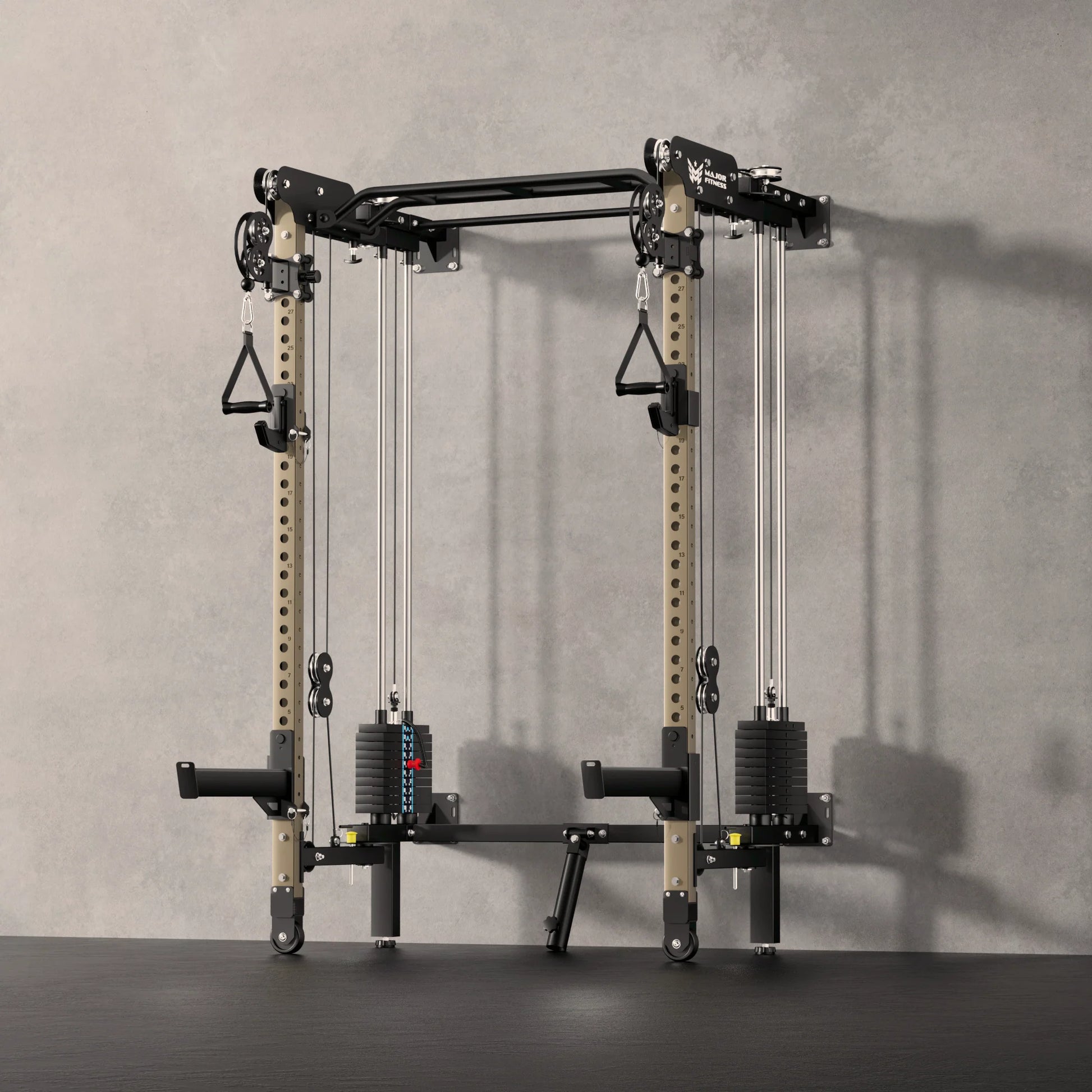 F35 All-In-One Home Gym Wall-Mount Folding Power Rack