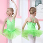 Kids Ballet Tutu Dress