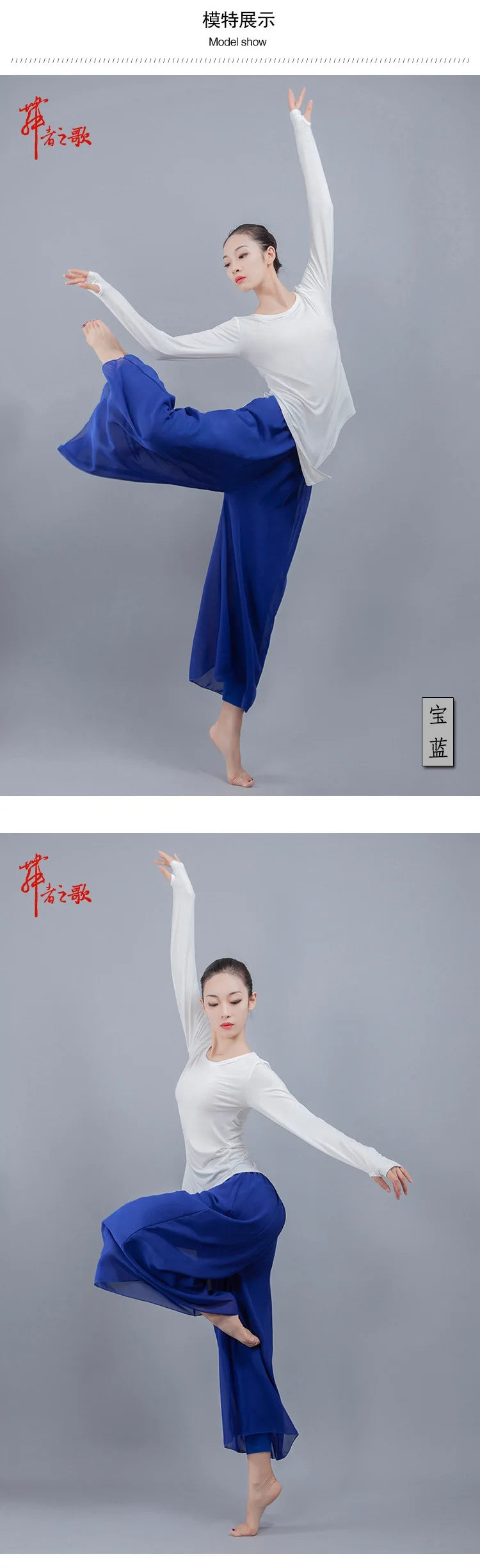 Chiffon Wide-Leg Dance Pants