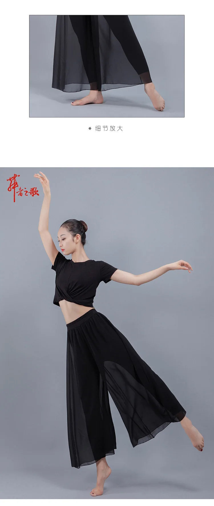 Chiffon Wide-Leg Dance Pants