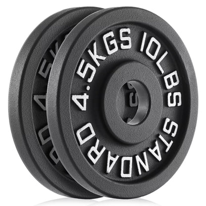 Philosophy Gym Set of 2 Cast Iron Olympic 2-Inch Weight Plates