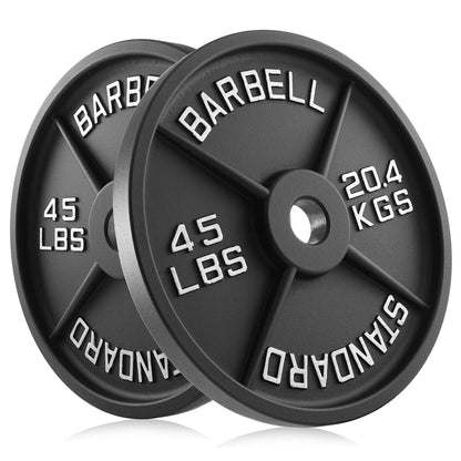 Philosophy Gym Set of 2 Cast Iron Olympic 2-Inch Weight Plates